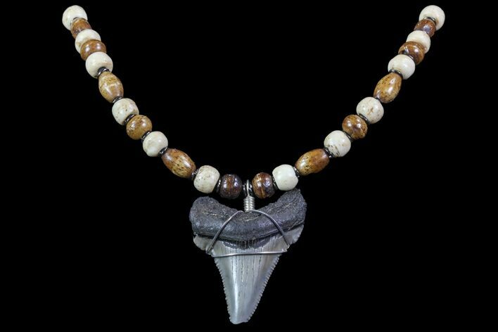 Fossil Angustiden Tooth Necklace - Megalodon Ancestor #70053